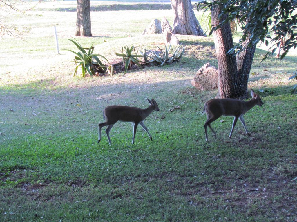 Matumi Golf Lodge Mbombela Eksteriør billede